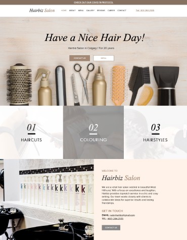 Hairbiz Homepage Design