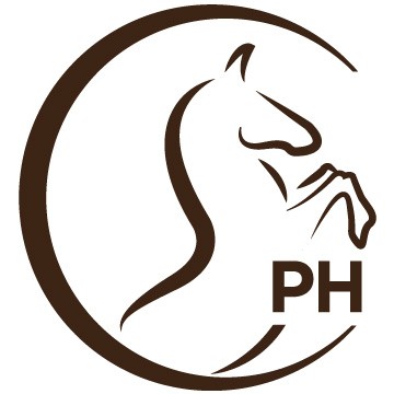 Pro Horse Training Logo Icon